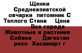 Щенки Среднеазиатской овчарки (питомник С Теплого Стана) › Цена ­ 20 000 - Все города Животные и растения » Собаки   . Дагестан респ.,Хасавюрт г.